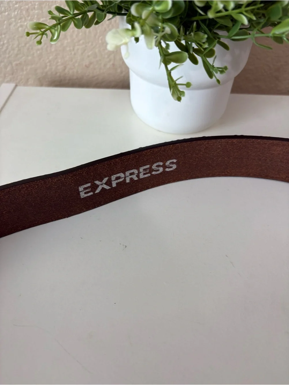 Express Brown Genuine Leather Sequin Studded Statement Belt Size L